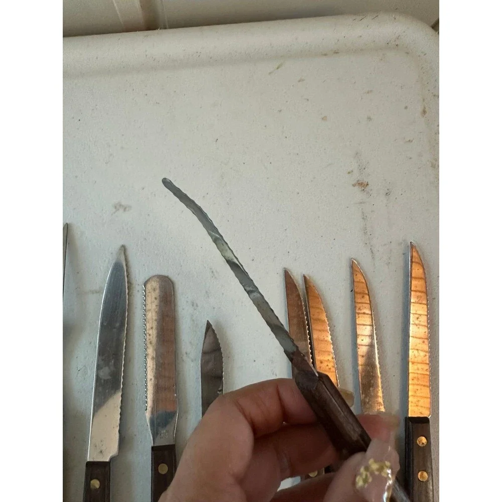 Vintage Mid Century 15 Serrated Stainless Steel Wooden Handles Japan Knives Set